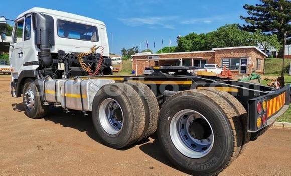 اشتري مستعمل Nissan UD White شاحنة في Butha–Buthe في Thaba-Tseka اشتري مستعمل Nissan UD White شاحنة في Butha–Buthe في Thaba-Tseka