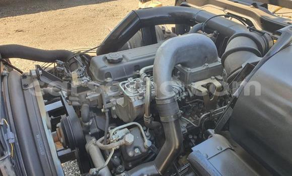 اشتري مستعمل Nissan UD White شاحنة في Butha–Buthe في Thaba-Tseka اشتري مستعمل Nissan UD White شاحنة في Butha–Buthe في Thaba-Tseka