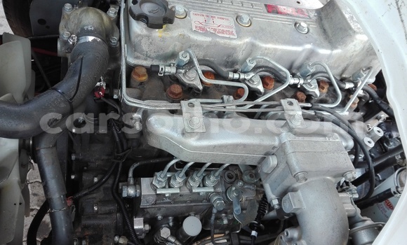 اشتري مستعمل Nissan UD White شاحنة في Butha–Buthe في Thaba-Tseka اشتري مستعمل Nissan UD White شاحنة في Butha–Buthe في Thaba-Tseka