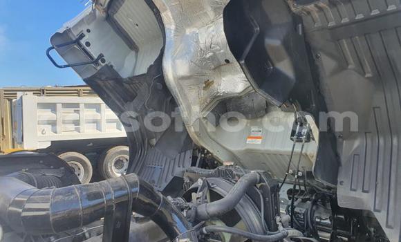 اشتري مستعمل Nissan UD White شاحنة في Butha–Buthe في Thaba-Tseka اشتري مستعمل Nissan UD White شاحنة في Butha–Buthe في Thaba-Tseka