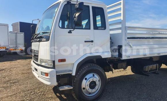 اشتري مستعمل Nissan UD White شاحنة في Butha–Buthe في Thaba-Tseka اشتري مستعمل Nissan UD White شاحنة في Butha–Buthe في Thaba-Tseka