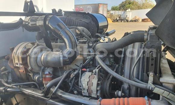 اشتري مستعمل Nissan UD White شاحنة في Butha–Buthe في Thaba-Tseka اشتري مستعمل Nissan UD White شاحنة في Butha–Buthe في Thaba-Tseka