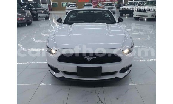 Acheter Import Voiture Ford Mustang Blanc à Import - Dubai, Maseru Acheter Import Voiture Ford Mustang Blanc à Import - Dubai, Maseru