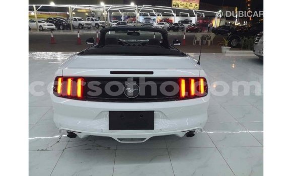 Acheter Import Voiture Ford Mustang Blanc à Import - Dubai, Maseru Acheter Import Voiture Ford Mustang Blanc à Import - Dubai, Maseru