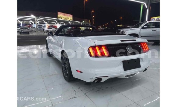 Acheter Import Voiture Ford Mustang Blanc à Import - Dubai, Maseru Acheter Import Voiture Ford Mustang Blanc à Import - Dubai, Maseru