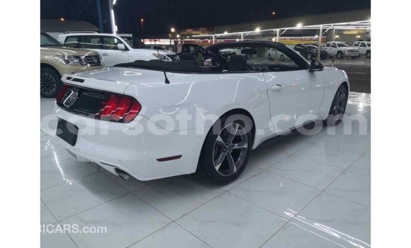 Acheter Import Voiture Ford Mustang Blanc à Import - Dubai, Maseru Acheter Import Voiture Ford Mustang Blanc à Import - Dubai, Maseru