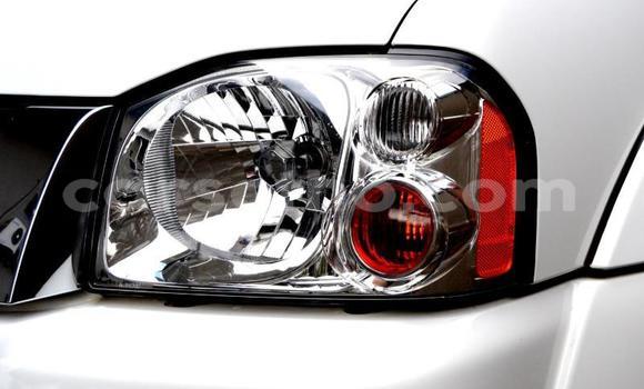 اشتري مستعمل Nissan NP 300 Other سيارة في Butha Buthe في Butha-Buthe اشتري مستعمل Nissan NP 300 Other سيارة في Butha Buthe في Butha-Buthe