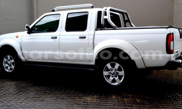 اشتري مستعمل Nissan NP 300 Other سيارة في Butha Buthe في Butha-Buthe اشتري مستعمل Nissan NP 300 Other سيارة في Butha Buthe في Butha-Buthe