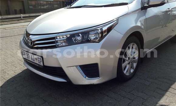 Buy Used Toyota Corolla Silver Car in Maseru in Maseru Buy Used Toyota Corolla Silver Car in Maseru in Maseru