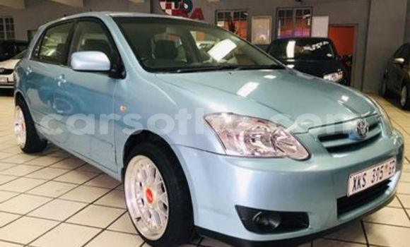 Buy Used Toyota Runx Silver Car in Butha–Buthe in Thaba-Tseka Buy Used Toyota Runx Silver Car in Butha–Buthe in Thaba-Tseka