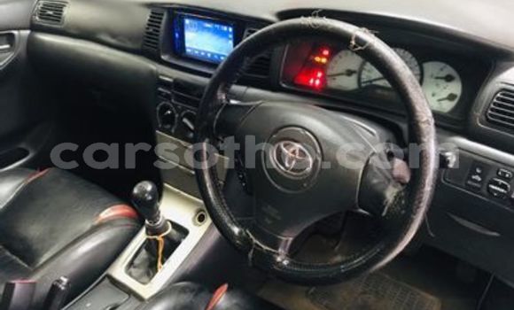 Buy Used Toyota Runx Silver Car in Butha–Buthe in Thaba-Tseka Buy Used Toyota Runx Silver Car in Butha–Buthe in Thaba-Tseka