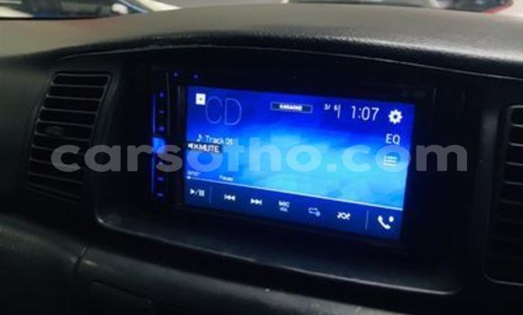 Buy Used Toyota Runx Silver Car in Butha–Buthe in Thaba-Tseka Buy Used Toyota Runx Silver Car in Butha–Buthe in Thaba-Tseka