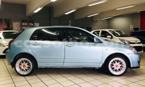 Buy Used Toyota Runx Silver Car in Butha–Buthe in Thaba-Tseka Buy Used Toyota Runx Silver Car in Butha–Buthe in Thaba-Tseka