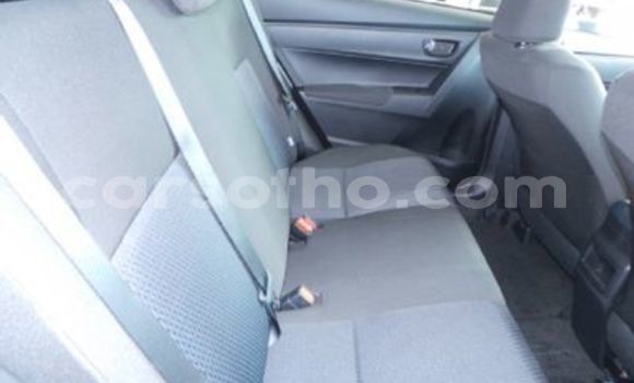 Acheter Occasion Voiture Toyota Corolla Gris à Butha–Buthe, Thaba-Tseka Acheter Occasion Voiture Toyota Corolla Gris à Butha–Buthe, Thaba-Tseka