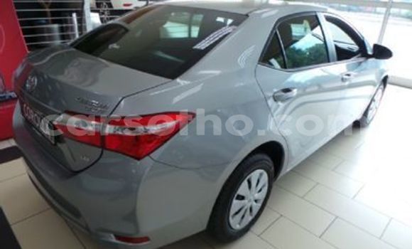 Acheter Occasion Voiture Toyota Corolla Gris à Butha–Buthe, Thaba-Tseka Acheter Occasion Voiture Toyota Corolla Gris à Butha–Buthe, Thaba-Tseka