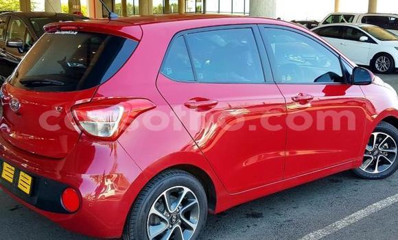 اشتري مستعمل Hyundai i10 Red سيارة في Maseru في Maseru اشتري مستعمل Hyundai i10 Red سيارة في Maseru في Maseru