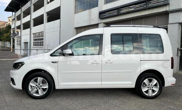 اشتري مستعمل Volkswagen Caddy White سيارة في Maseru في Maseru اشتري مستعمل Volkswagen Caddy White سيارة في Maseru في Maseru