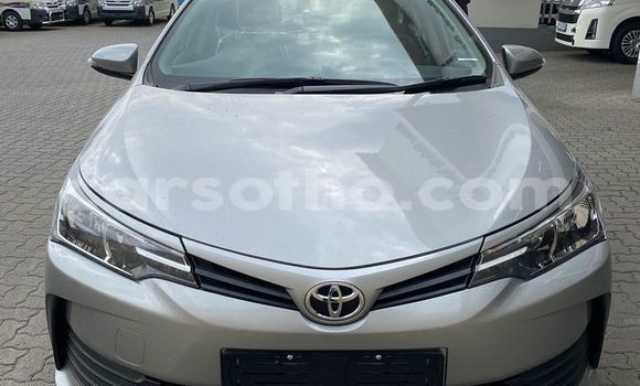 اشتري مستعمل Toyota Corolla Other سيارة في Maseru في Maseru اشتري مستعمل Toyota Corolla Other سيارة في Maseru في Maseru