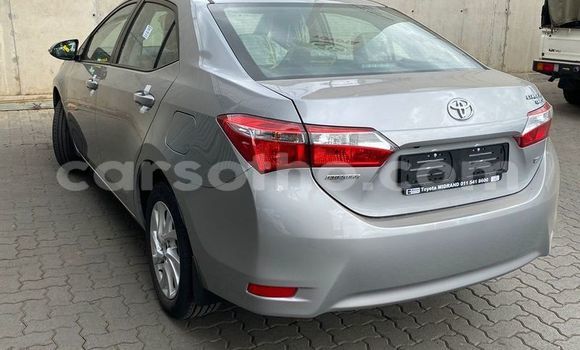 اشتري مستعمل Toyota Corolla Other سيارة في Maseru في Maseru اشتري مستعمل Toyota Corolla Other سيارة في Maseru في Maseru