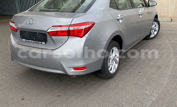 اشتري مستعمل Toyota Corolla Other سيارة في Maseru في Maseru اشتري مستعمل Toyota Corolla Other سيارة في Maseru في Maseru