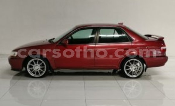 Buy Used Toyota Corolla Other Car in Maseru in Maseru Buy Used Toyota Corolla Other Car in Maseru in Maseru