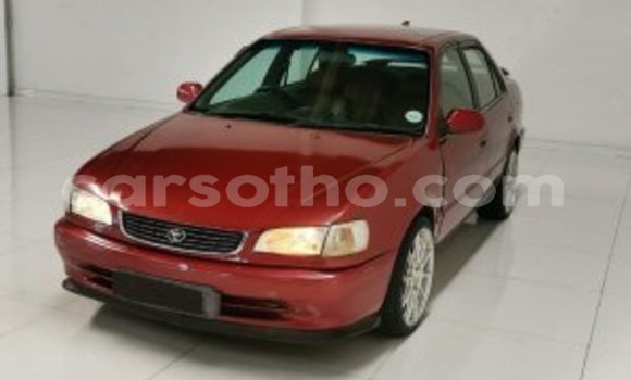 Buy Used Toyota Corolla Other Car in Maseru in Maseru Buy Used Toyota Corolla Other Car in Maseru in Maseru