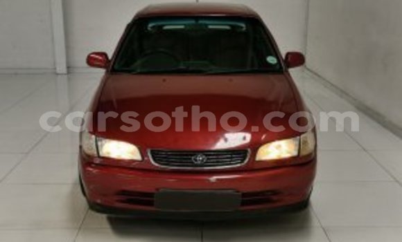 Buy Used Toyota Corolla Other Car in Maseru in Maseru Buy Used Toyota Corolla Other Car in Maseru in Maseru
