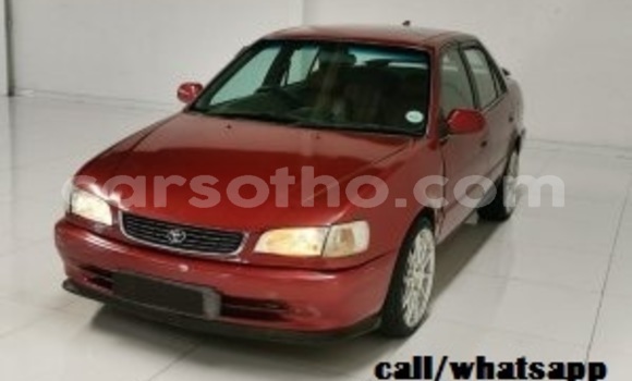 اشتري مستعمل Toyota Corolla Other سيارة في Maseru في Maseru اشتري مستعمل Toyota Corolla Other سيارة في Maseru في Maseru