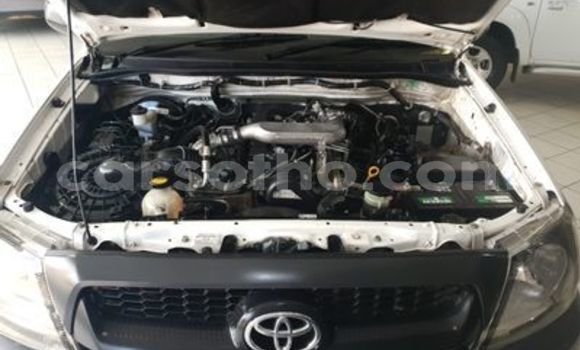 اشتري مستعمل Toyota Hilux Other سيارة في Butha–Buthe في Thaba-Tseka اشتري مستعمل Toyota Hilux Other سيارة في Butha–Buthe في Thaba-Tseka