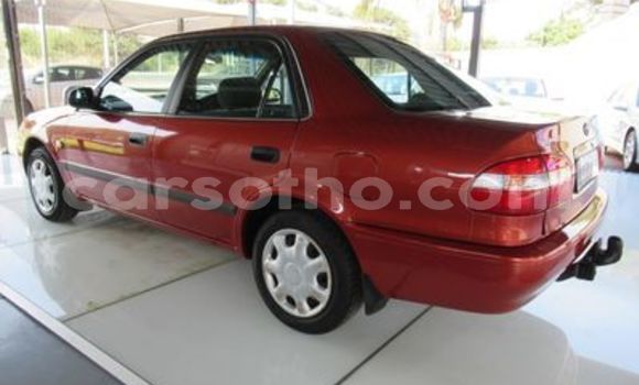 Sayi Na hannu Toyota Corolla Other Mota in Maseru a Maseru Sayi Na hannu Toyota Corolla Other Mota in Maseru a Maseru