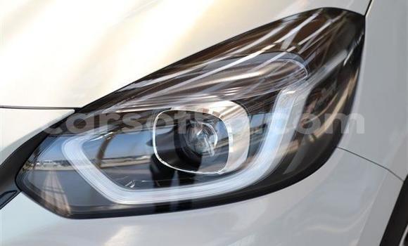 اشتري Imported Honda FIT Other سيارة في Maseru في Maseru اشتري Imported Honda FIT Other سيارة في Maseru في Maseru