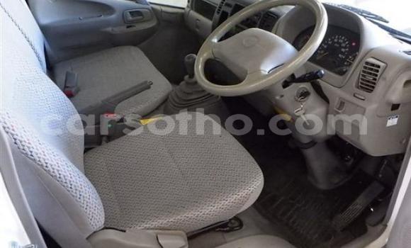 اشتري Imported Toyota Dyna Other سيارة في Maseru في Maseru اشتري Imported Toyota Dyna Other سيارة في Maseru في Maseru