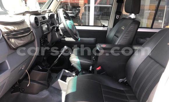 Buy Used Toyota Land Cruiser Other Car in Butha–Buthe in Thaba-Tseka Buy Used Toyota Land Cruiser Other Car in Butha–Buthe in Thaba-Tseka