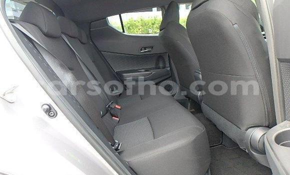 اشتري Imported Toyota C-HR Other سيارة في Maseru في Maseru اشتري Imported Toyota C-HR Other سيارة في Maseru في Maseru