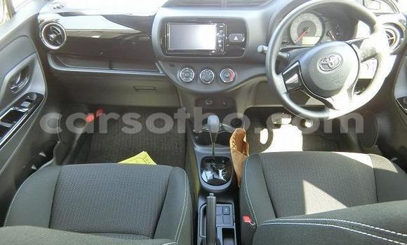 اشتري Imported Toyota Vitz Other سيارة في Maseru في Maseru اشتري Imported Toyota Vitz Other سيارة في Maseru في Maseru