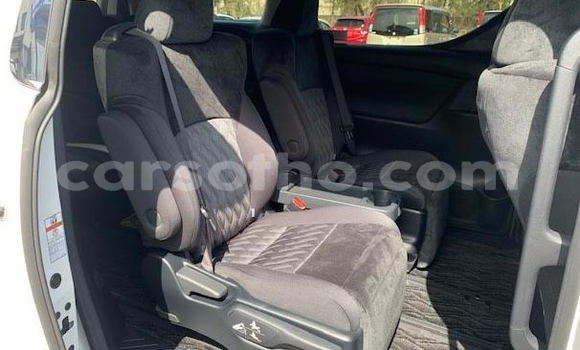 اشتري Imported Toyota Alphard Other سيارة في Maseru في Maseru اشتري Imported Toyota Alphard Other سيارة في Maseru في Maseru