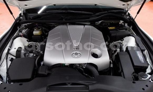 اشتري Imported Toyota Mark X Other سيارة في Maseru في Maseru اشتري Imported Toyota Mark X Other سيارة في Maseru في Maseru