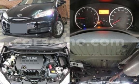اشتري Imported Toyota Wish Other سيارة في Maseru في Maseru اشتري Imported Toyota Wish Other سيارة في Maseru في Maseru
