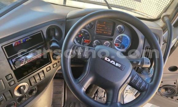 اشتري مستعمل DAF CF White شاحنة في Maseru في Maseru اشتري مستعمل DAF CF White شاحنة في Maseru في Maseru