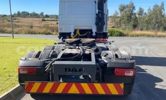 اشتري مستعمل DAF CF White شاحنة في Maseru في Maseru اشتري مستعمل DAF CF White شاحنة في Maseru في Maseru