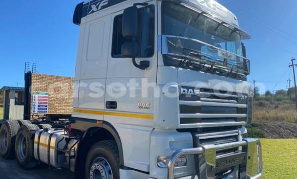 اشتري مستعمل DAF CF White شاحنة في Maseru في Maseru اشتري مستعمل DAF CF White شاحنة في Maseru في Maseru