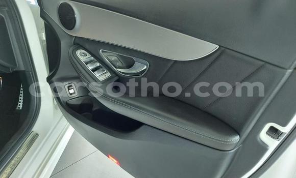اشتري مستعمل Mercedes-Benz E–Class White سيارة في Mokhotlong في Berea اشتري مستعمل Mercedes-Benz E–Class White سيارة في Mokhotlong في Berea