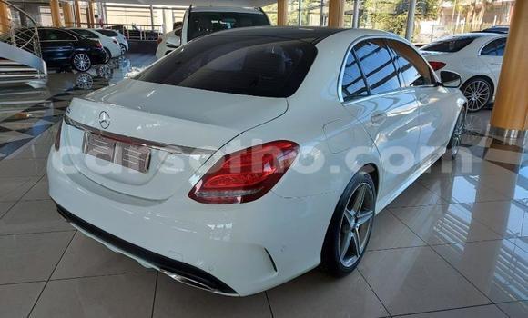 اشتري مستعمل Mercedes-Benz E–Class White سيارة في Mokhotlong في Berea اشتري مستعمل Mercedes-Benz E–Class White سيارة في Mokhotlong في Berea