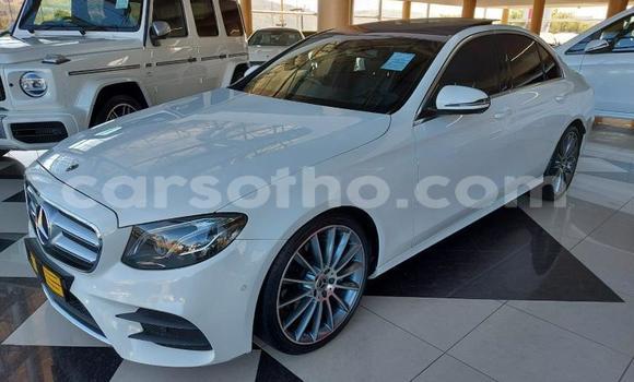 اشتري مستعمل Mercedes-Benz E–Class White سيارة في Mokhotlong في Berea اشتري مستعمل Mercedes-Benz E–Class White سيارة في Mokhotlong في Berea