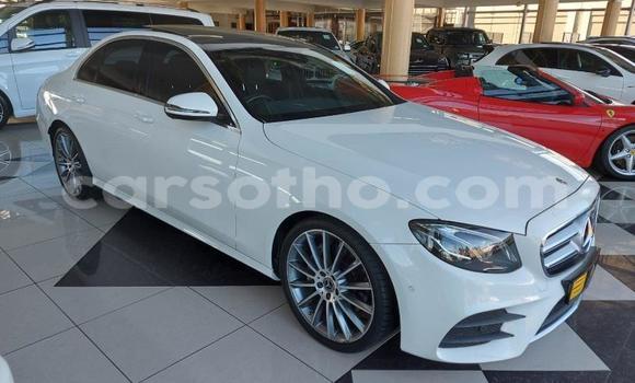اشتري مستعمل Mercedes-Benz E–Class White سيارة في Mokhotlong في Berea اشتري مستعمل Mercedes-Benz E–Class White سيارة في Mokhotlong في Berea