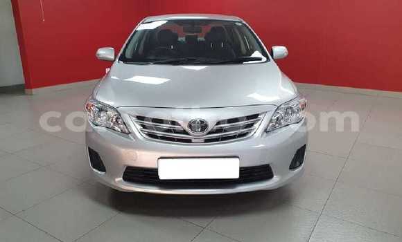 Acheter Occasion Voiture Toyota Corolla Gris à Butha–Buthe, Thaba-Tseka Acheter Occasion Voiture Toyota Corolla Gris à Butha–Buthe, Thaba-Tseka