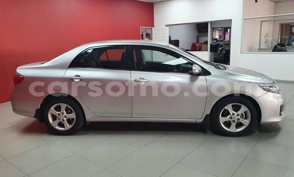Acheter Occasion Voiture Toyota Corolla Gris à Butha–Buthe, Thaba-Tseka Acheter Occasion Voiture Toyota Corolla Gris à Butha–Buthe, Thaba-Tseka