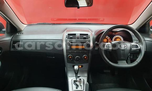 Acheter Occasion Voiture Toyota Corolla Gris à Butha–Buthe, Thaba-Tseka Acheter Occasion Voiture Toyota Corolla Gris à Butha–Buthe, Thaba-Tseka