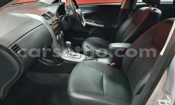 Acheter Occasion Voiture Toyota Corolla Gris à Butha–Buthe, Thaba-Tseka Acheter Occasion Voiture Toyota Corolla Gris à Butha–Buthe, Thaba-Tseka