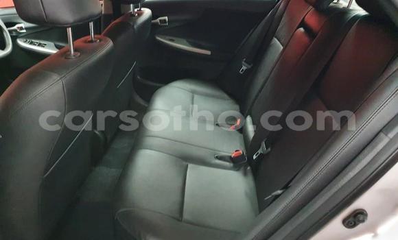 Acheter Occasion Voiture Toyota Corolla Gris à Butha–Buthe, Thaba-Tseka Acheter Occasion Voiture Toyota Corolla Gris à Butha–Buthe, Thaba-Tseka